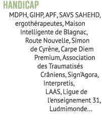 Handicap MDPH, GIHP, APF, SAVS SAHEHD, ergoth rapeutes, Maison Intelligente de Blagnac, Route Nouvelle, Simon de Cyr ...