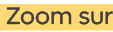  Zoom sur 
