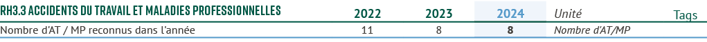 RH3.3 Accidents du travail et maladies professionnelles,2022,2023,2024,Unit ,Tags,Nombre d'AT / MP reconnus dans l'an...