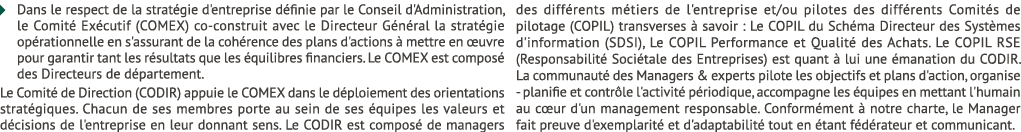 � Dans le respect de la strat gie d'entreprise d finie par le Conseil d'Administration, le Comit Ex cutif (COMEX) co...
