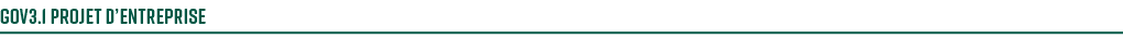 gov3.1 Projet d’entreprise