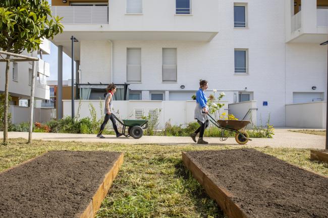 Jeunes femmes jardinant