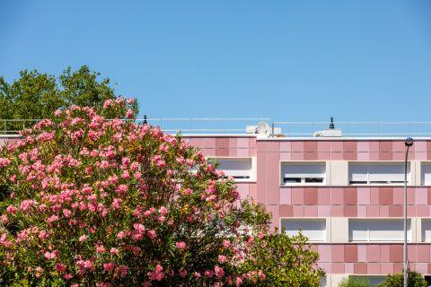 Cité Rose